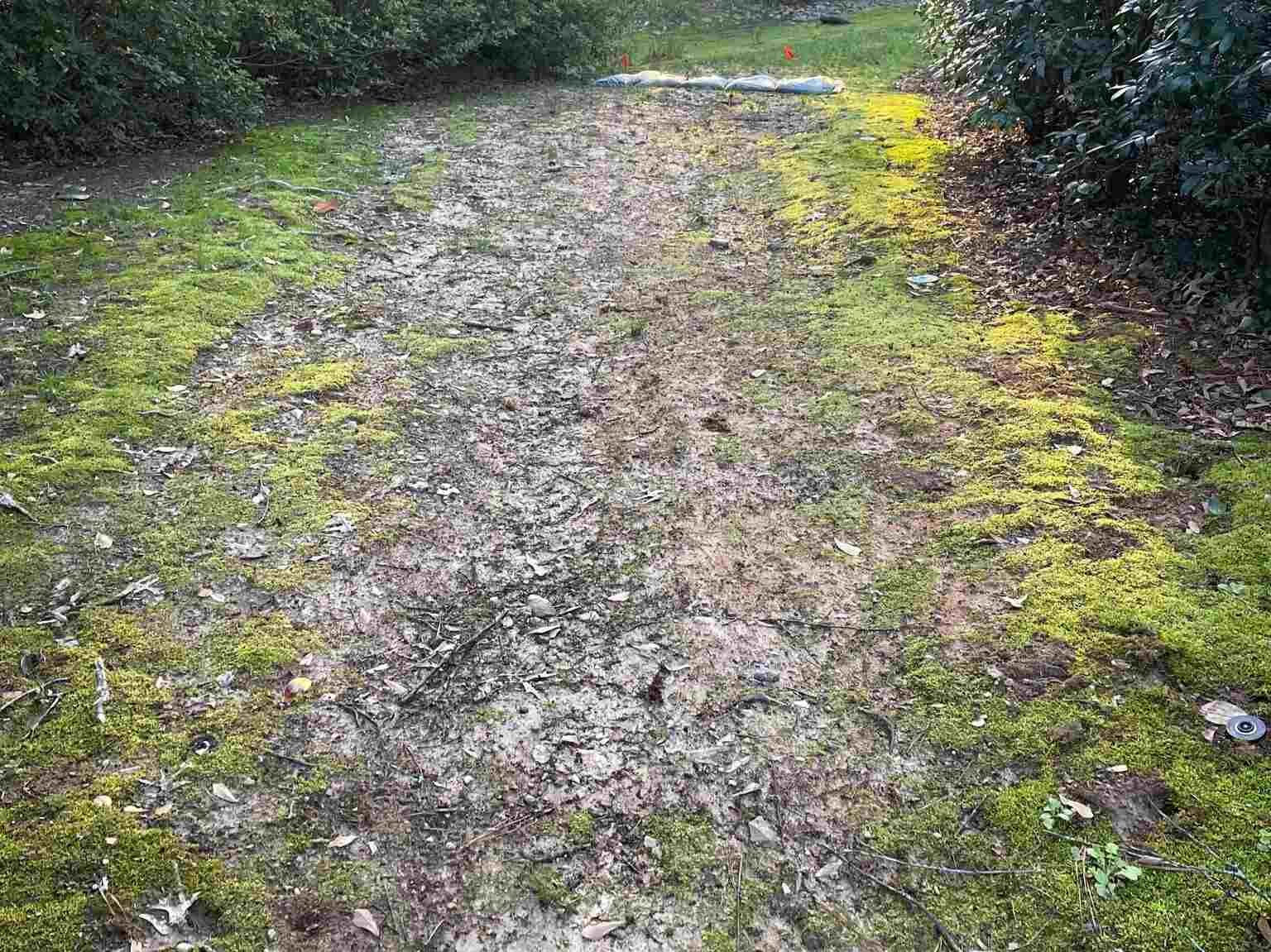 JQ Magic Landscape LLC