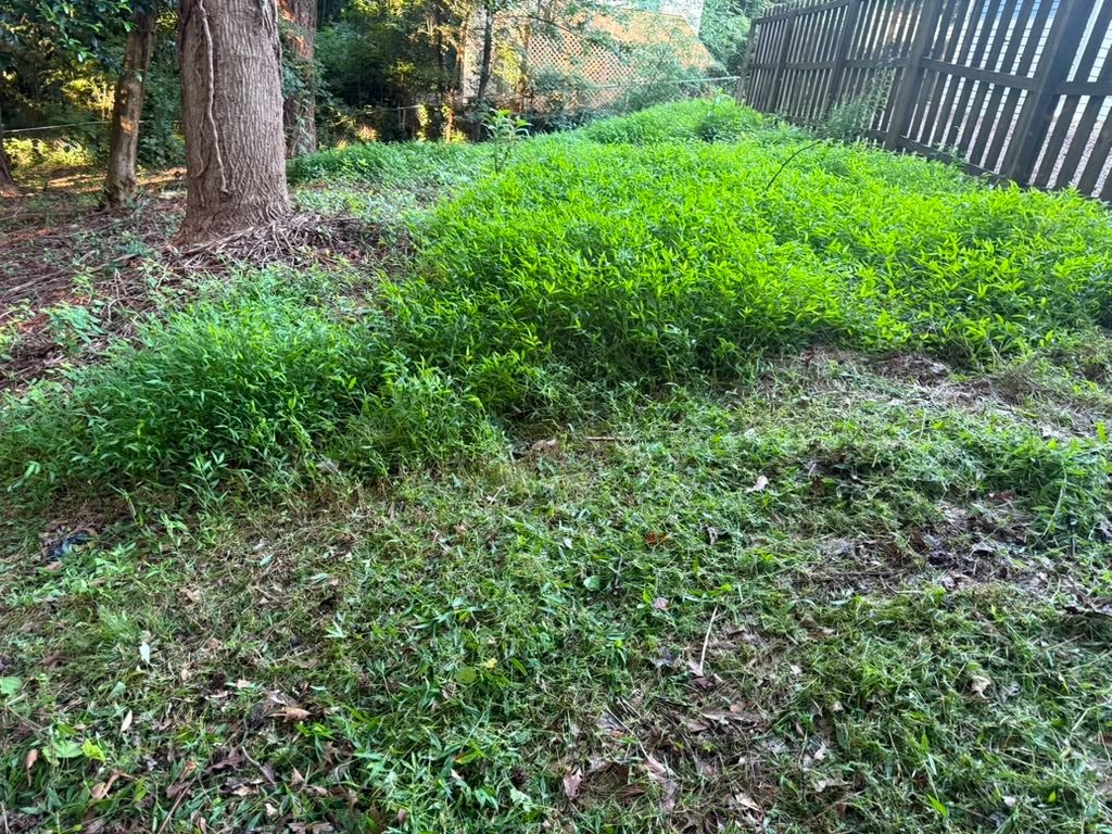 JQ Magic Landscape LLC
