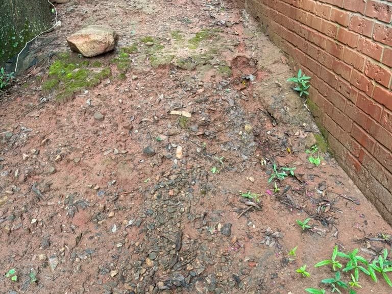 JQ Magic Landscape LLC