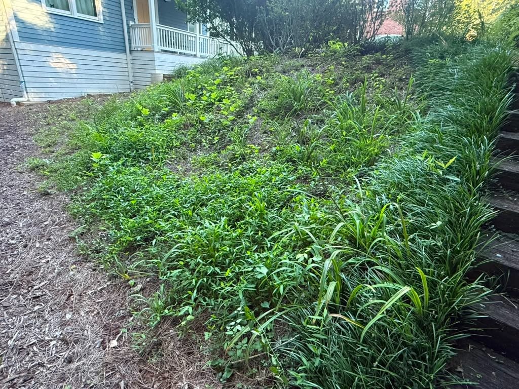 JQ Magic Landscape LLC