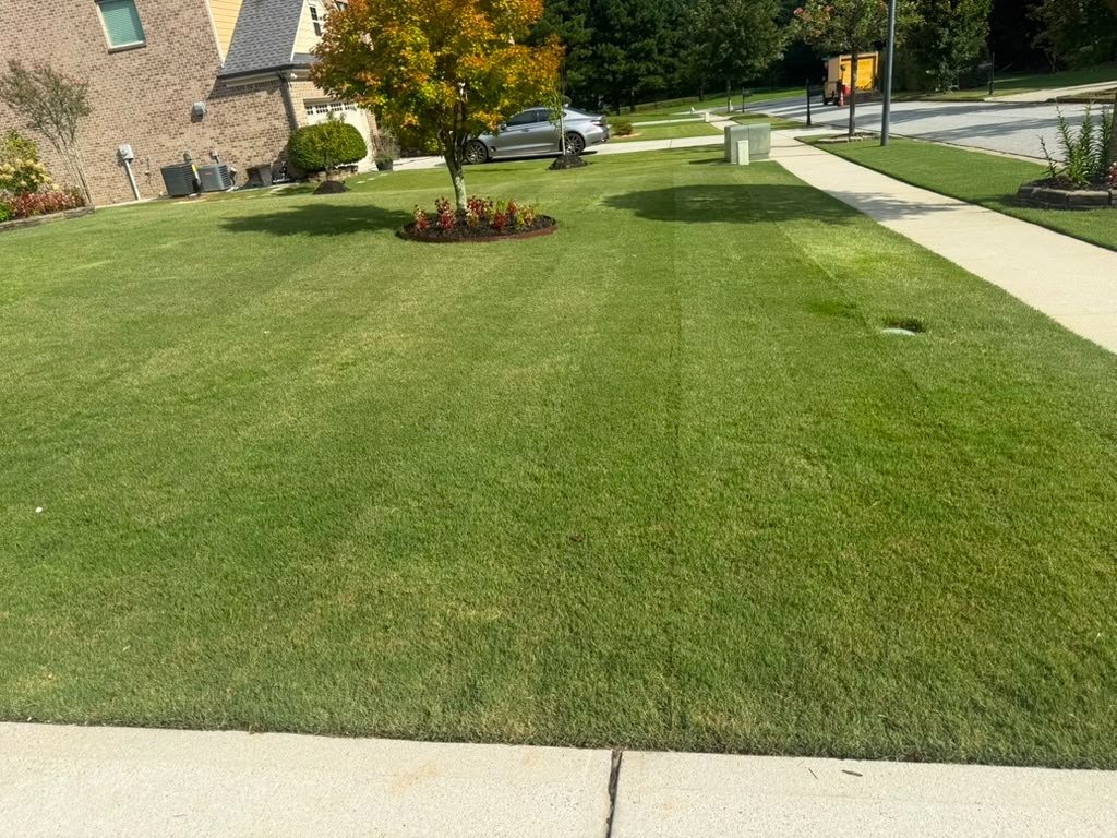 JQ Magic Landscape LLC